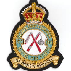 311 Squadron RAF blazer badge